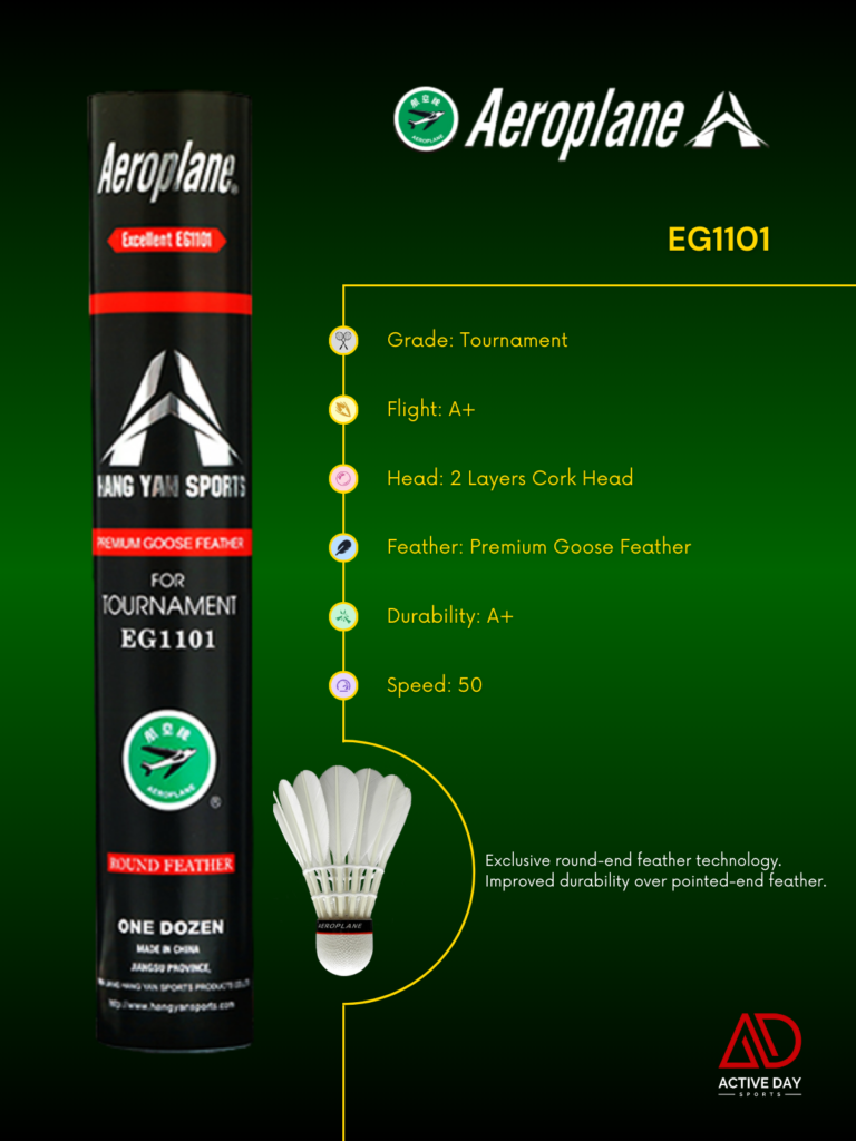 Aeroplane EG1101